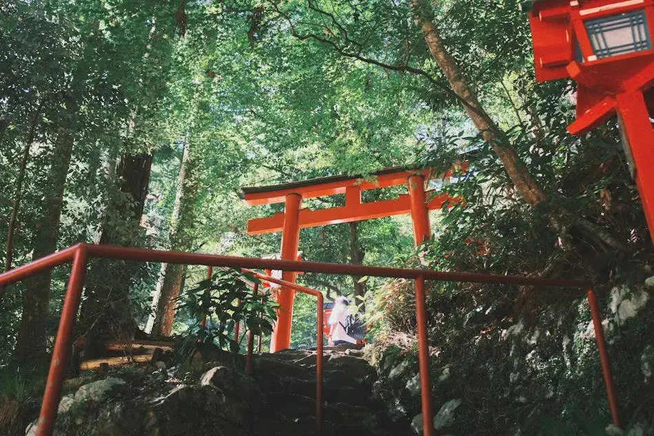 京都自由行五日遊行程規劃｜適合一人旅行的景點、美食與體驗推薦