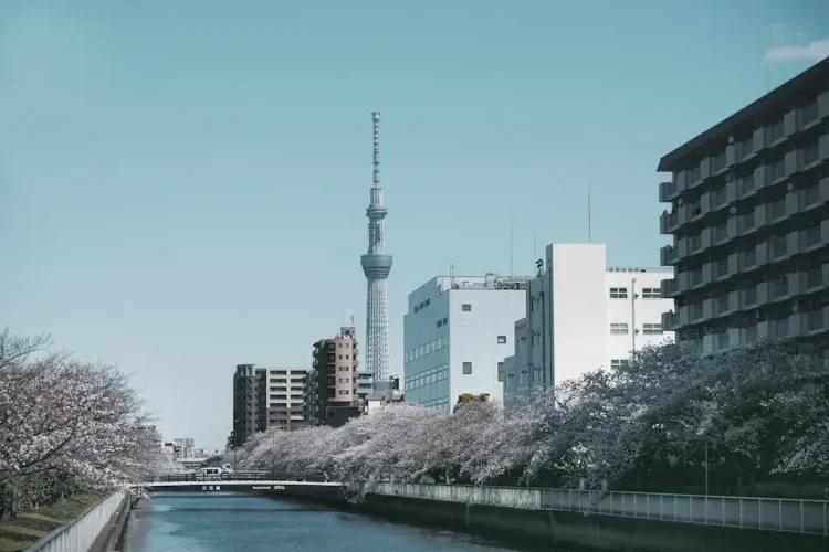 日本獨旅推薦：第一次獨遊日本的你，不能錯過這些經驗談