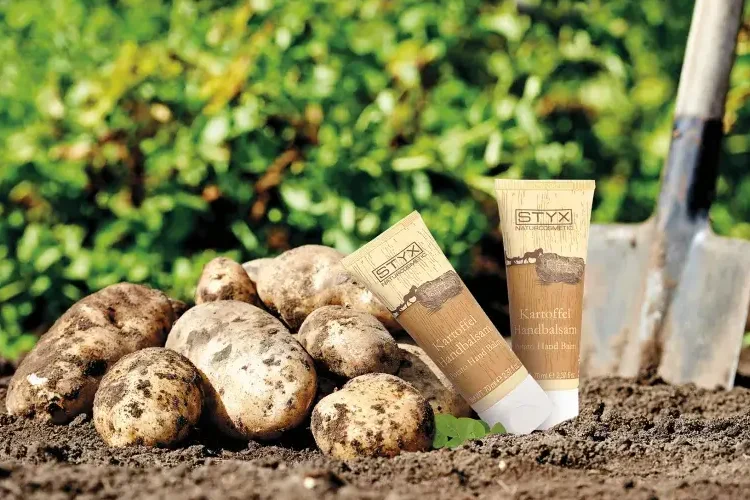 STYX 馬鈴薯護手霜
