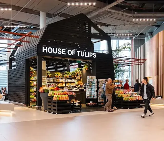 阿姆斯特丹史基浦機場必買｜時間不多也能買對的高質感伴手禮